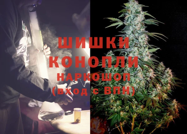 спайс Алзамай