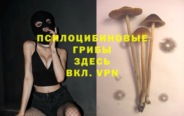 ALPHA-PVP Нефтегорск