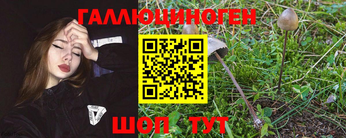 Псилоцибиновые грибы прущие грибы Сунжа