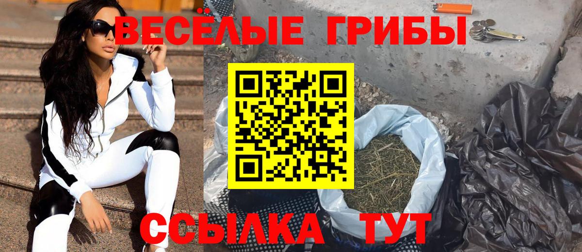 Конопля  Гашиш  Сунжа  Кокаин  Метадон  Меф МЯУ МЯУ   Вход с VPN  Экстази 