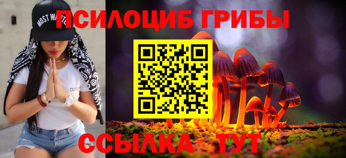 Галлюциногенные грибы мухоморы  Вход с VPN  Галлюциногенные грибы GOLDEN TEACHER  Сунжа 