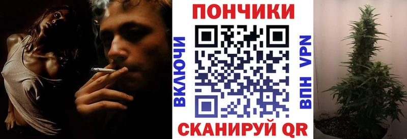 МАРИХУАНА ГИДРОПОН  Сунжа 